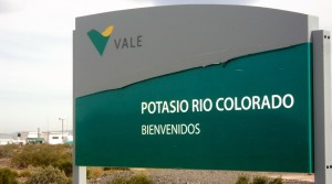Marubeni eyes Vale’s halted Rio Colorado potash project in Argentina