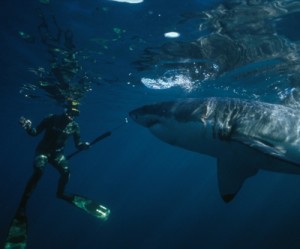 New Zealand rejects underwater iron mine