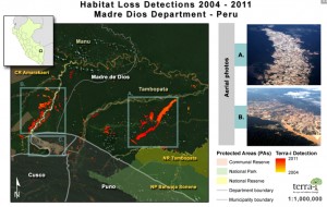 Peru’s President allegedly financed his campaign with illegal mining funds