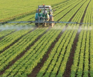 Rio Tinto’s plans to mine potash in Canada got a lot more serious