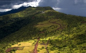 Beny Steinmetz associate jailed over Guinea’s Simandou case