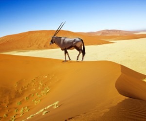 North River secures $12m to restart Namib mine, shares shoot up