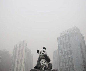 Chinese coal burning set to decline first time in 14 years
