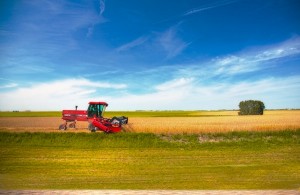 Canada’s Manitoba to open bids for major potash deposit