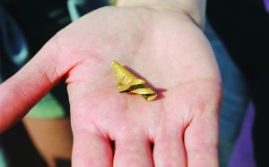 English schoolboys dig up rare 4,300-year-old gold hair ornament