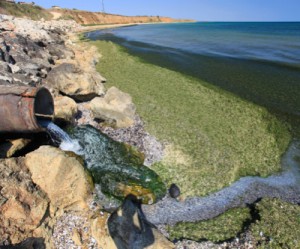 Man-made mercury levels in oceans triple