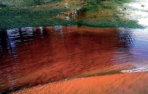 Mexican copper mine too slow to report spill: authorities