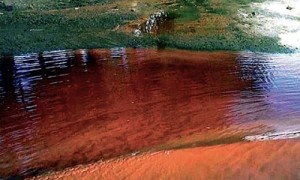 Mexican mining company lied on spill: government