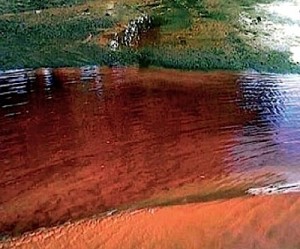 Mexican mining company lied on spill: government