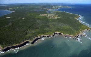 U.S. miner buys Glencore's massive Donkin coal mine