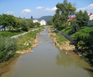 Romanian start-up offers clean alternative to cyanide in gold, silver extraction