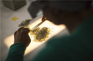 Diamond market grows to record $79 billion