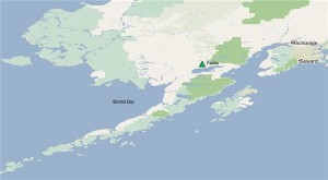 Northern Dynasty scores temporary win in battle against EPA over Pebble mine