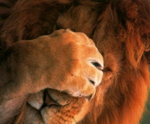 South Africa’s mining output at lowest in over 18 months