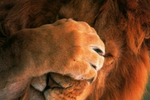 South Africa’s mining output at lowest in over 18 months