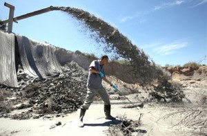 Workers denied safety gear, told coal ash ‘safe enough to eat’