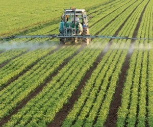 Potash Corp remains confident of market outlook despite weak prices