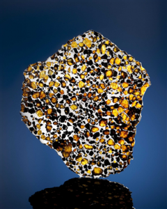 Meteorite auction A Complete Slice of Imilac Meteorite