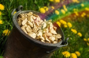 Canadian miners find 'pot of gold' in Ireland