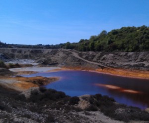 Scientists test algae to harvest precious metals and biofuel from mining sludge