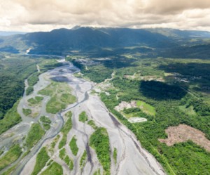 Lust for gold eating up the world’s last rainforests: study