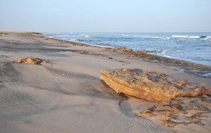 Somalia ousts Chinese firm over alleged illegal mining