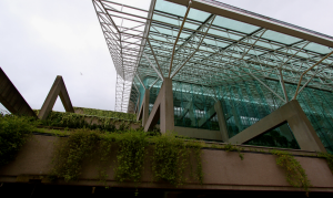 british columbia supreme court yukon zinc procon