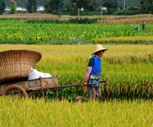 Canpotex finalizes pricing deal with China