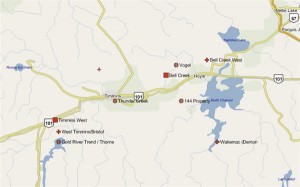lake shore gold properties bell creek