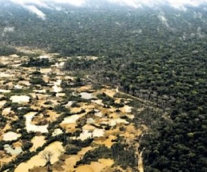 US grants Peru $1m for Amazon clean-up due to illegal mining legacy