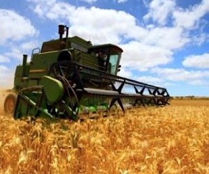 Plenty of Potash, but almost no low cost sources for crop production