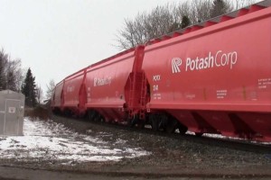 Potash Corp buys stake in Brazilian firm