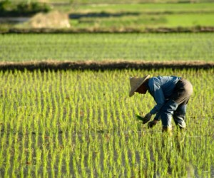 Potash producers rejoice — China likely to pay more for it this year