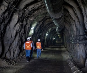 Goldcorp axes dividend