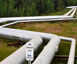 Canadian Natural Resources posts first quarterly loss in five years