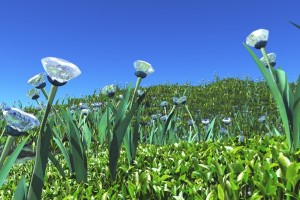 This plant may be the best diamond-finding tool you’ll ever have