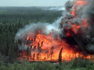 Wildfire spreads closer to Canada’s oil sands: hundreds evacuated
