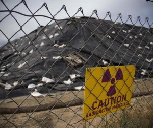 Scientists discover bacteria that help with nuclear waste clean-ups
