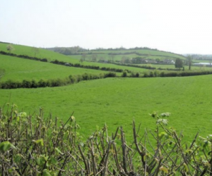 ireland conroy mining gold monaghan county