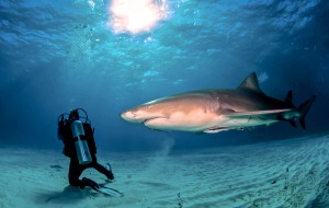 NGOs question Nautilus Minerals report on seafloor mining ‘minimum’ impacts