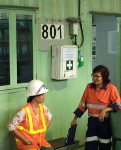 Asian Mineral Resources