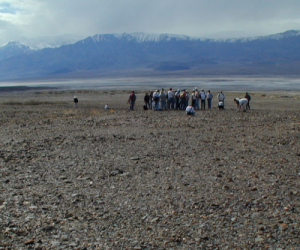 Even top juniors are running out of money