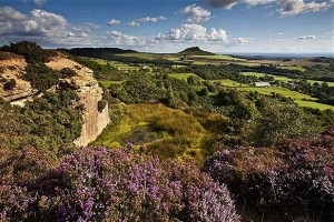 Sirius stock collapses after unveiling plan for UK’s largest potash mine