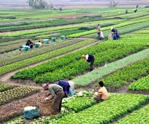 Vietnam begins construction of country’s first potash mine