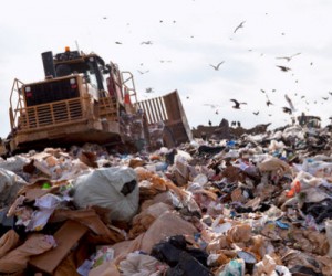 mapmine minexpo custom maps