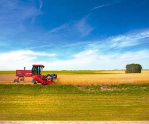 Potash Corp slashes outlook, production amid tough market conditions