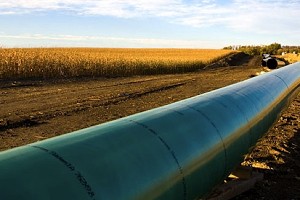 TransCanada asks US to suspend Keystone XL pipeline review