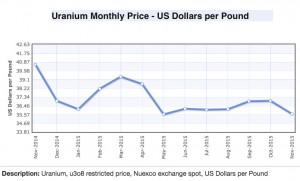 This was the top-performing mining commodity of 2015
