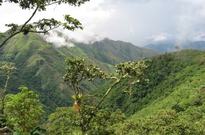 Colombian police begins evicting illegal miners from Continental Gold’s claims