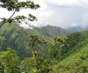 Colombian police begins evicting illegal miners from Continental Gold’s claims